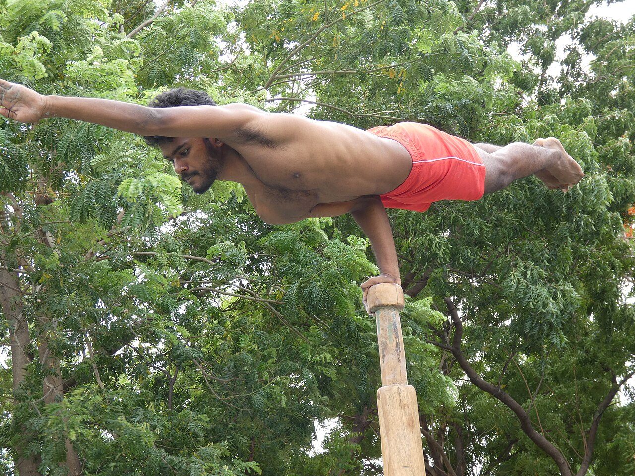 A mallakhamb athlete on the pole (file photo)