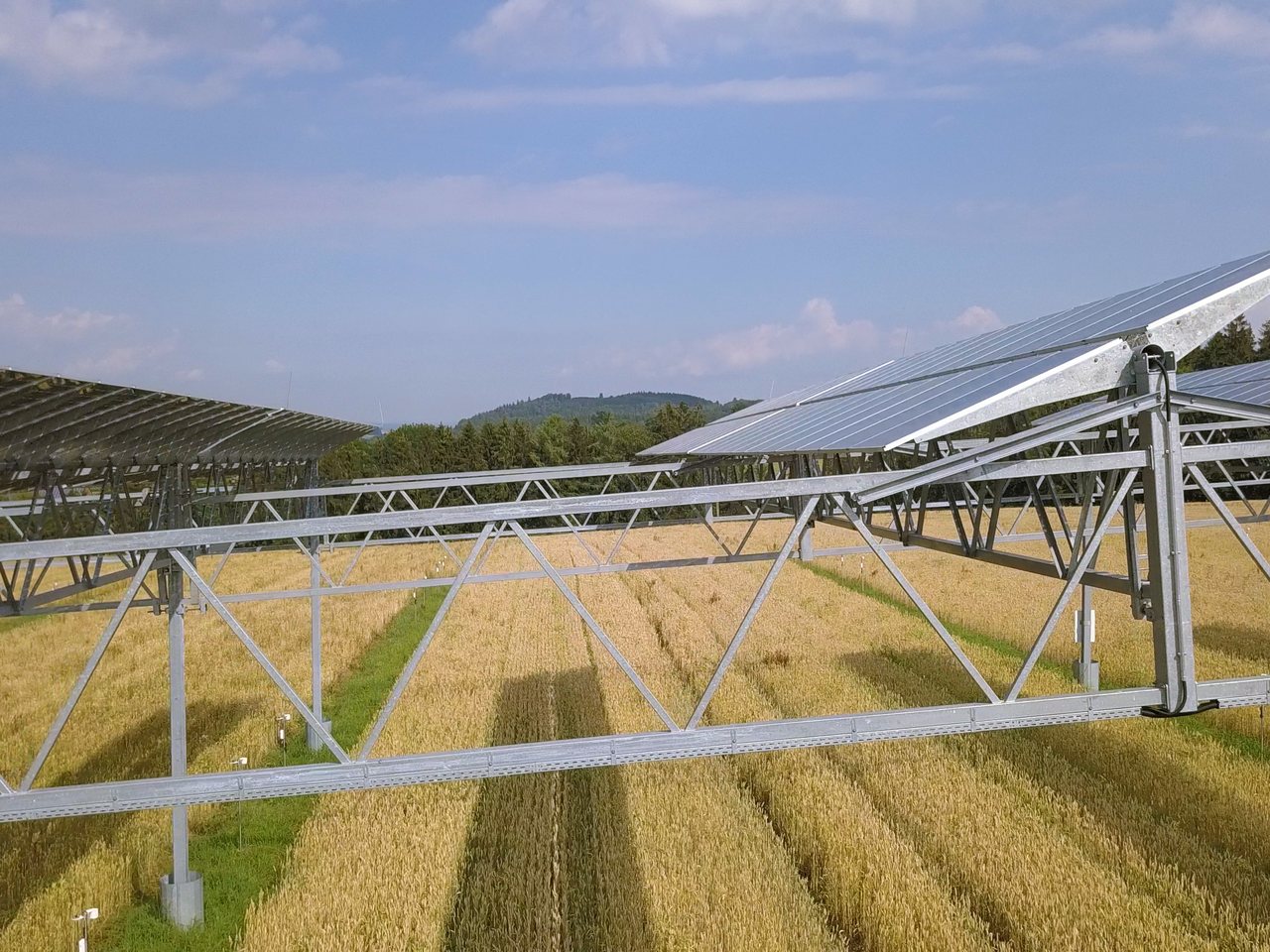 Solar panels raised above a crop field in an agrivoltaics plant (file photo)