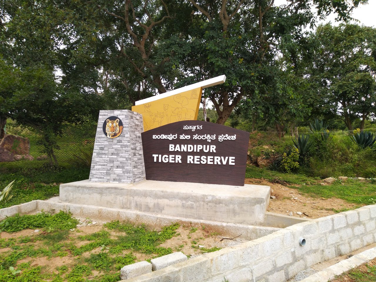 Forest at Bandipur Tiger Reserve, Karnataka (file photo)