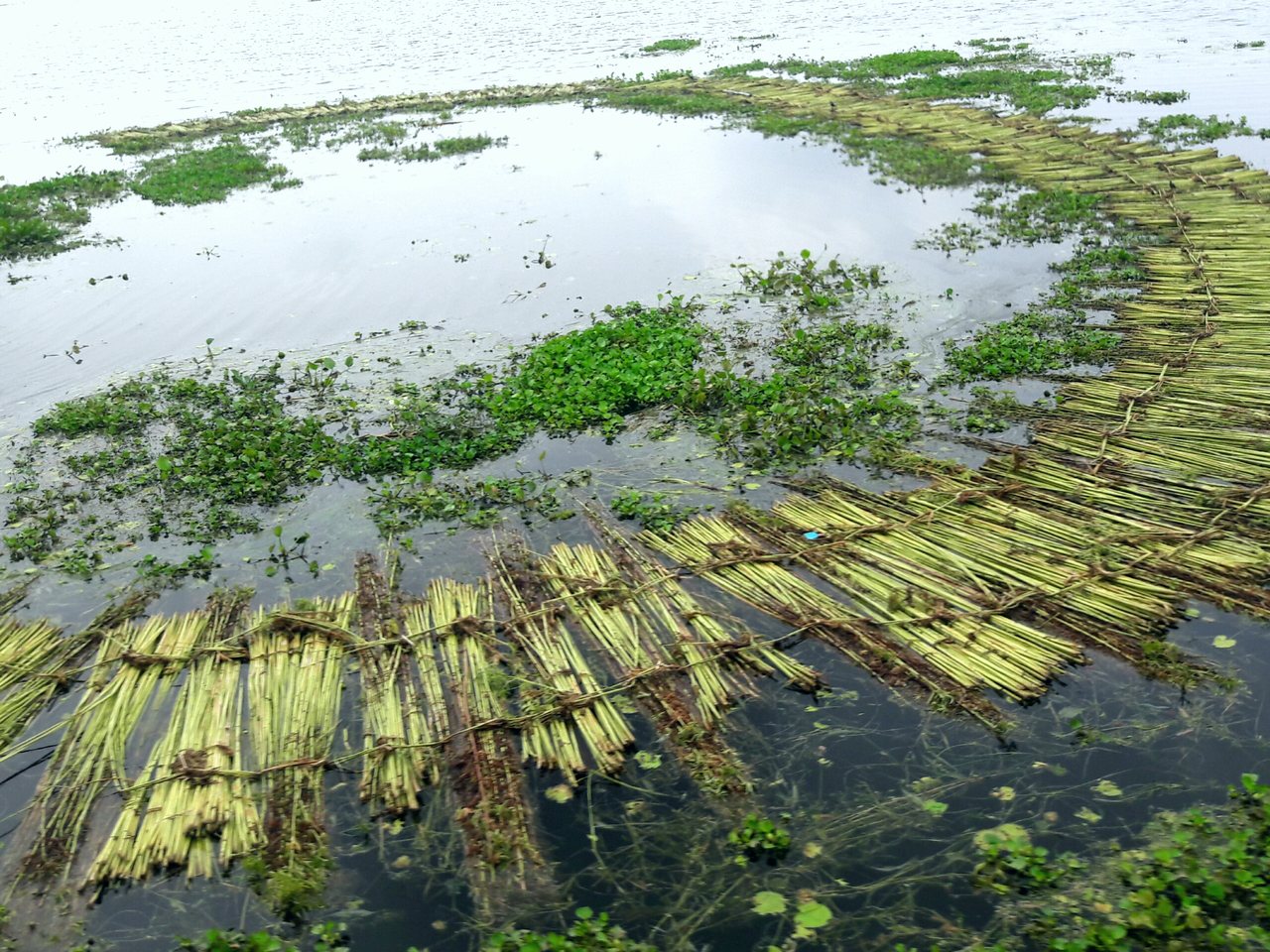 Flooded land in Bangladesh (file photo)