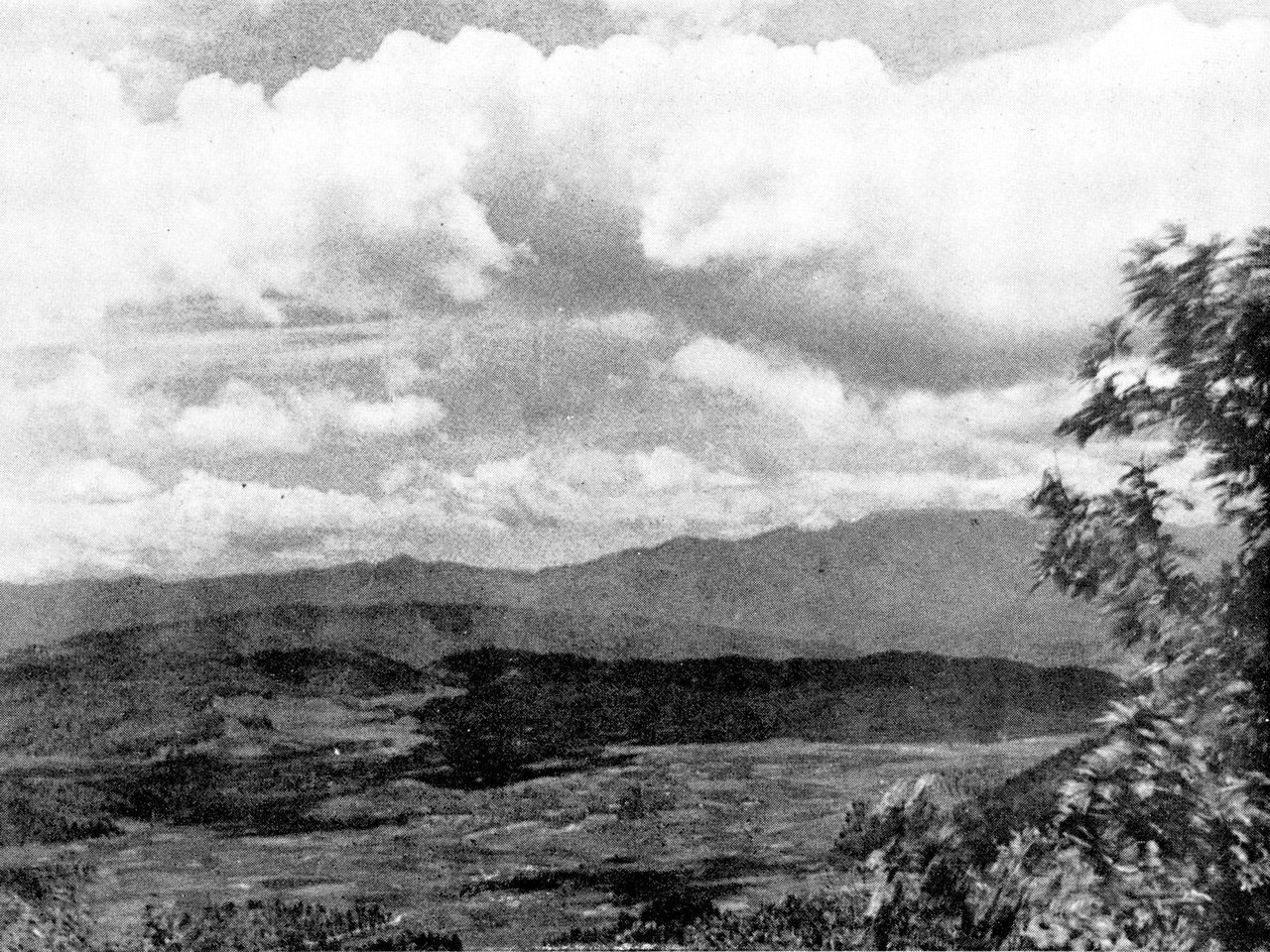 Hills near Champhai, Mizoram, on the Myanmar border (file photo)