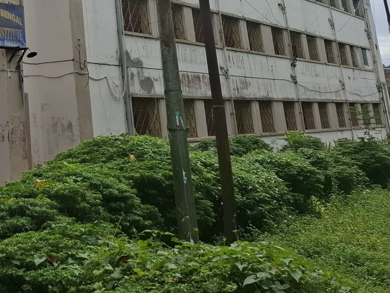 An Industrial Training Institute building (file photo)
