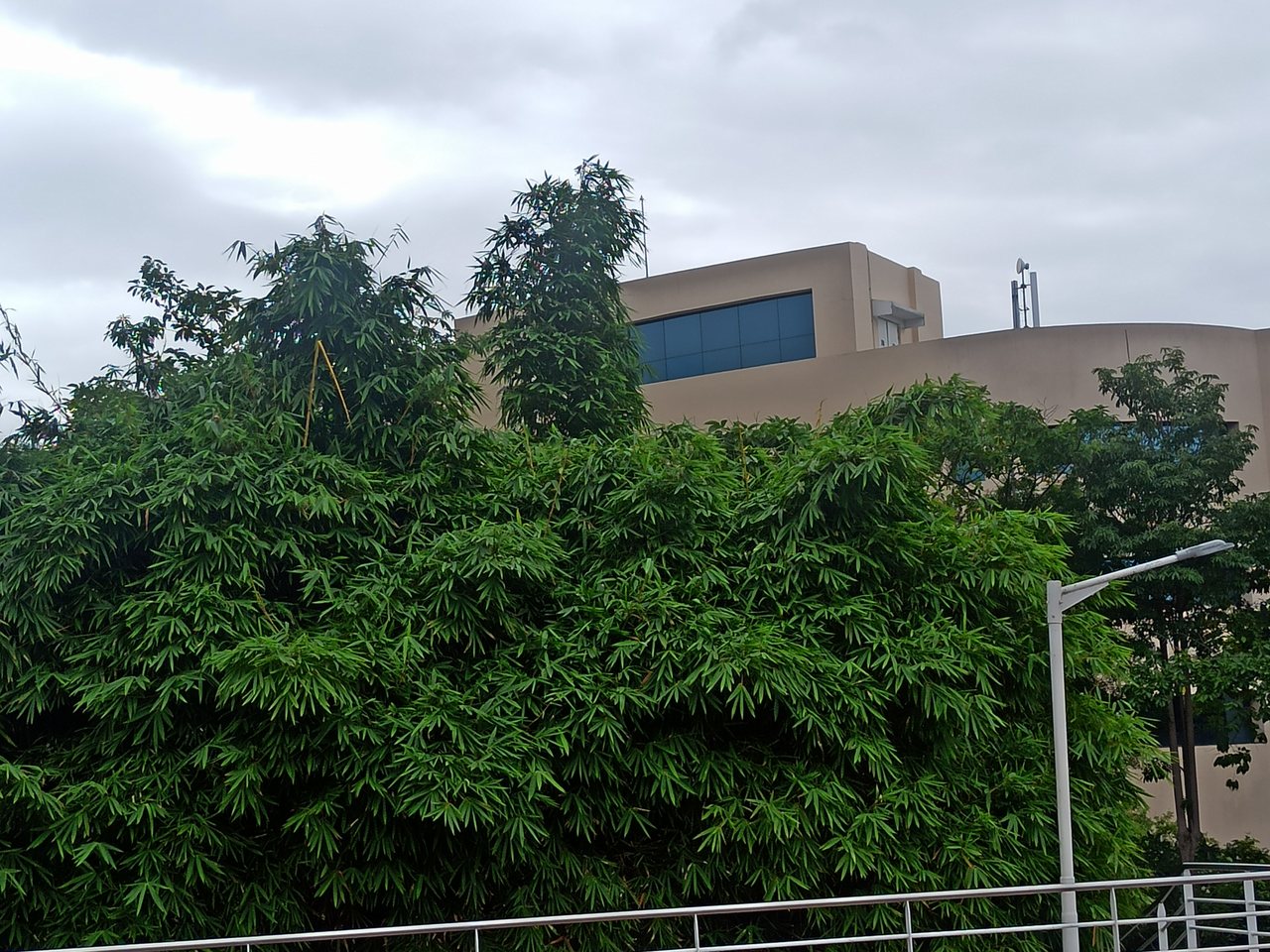 The Infosys campus in Mysuru (file photo)