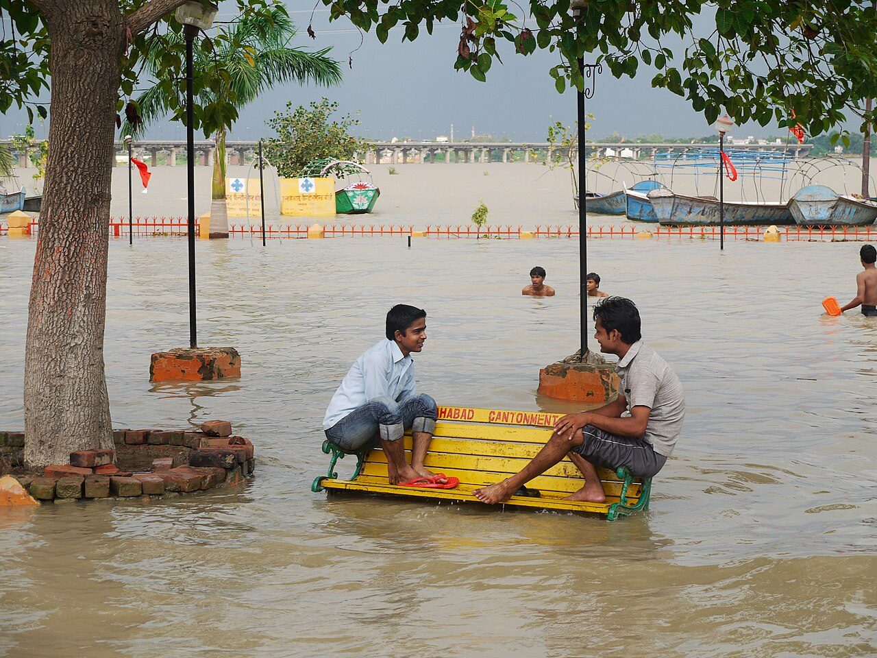 A waterlogged paddy field in Uttar Pradesh